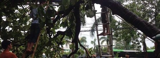 Các chi nhánh FPT Telecom gấp rút đối phó bão Dianmu