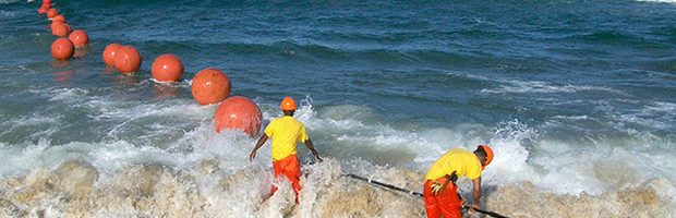 Tuyến cab AAG bị lùi lịch sửa 1 ngày